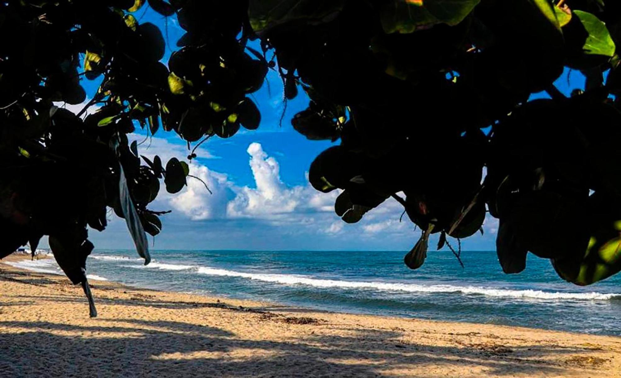 Hostal Mirador Dentro Del Parque Tayrona El Zaino Buitenkant foto