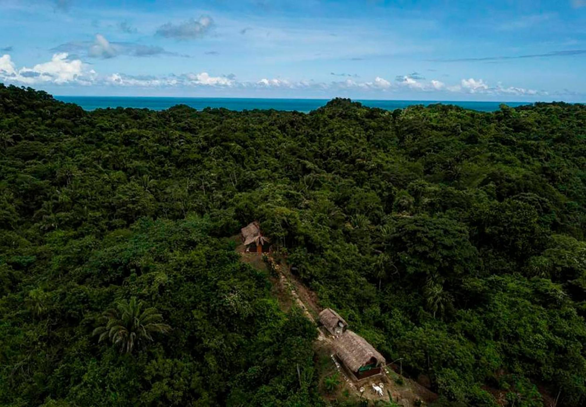 Hostal Mirador Dentro Del Parque Tayrona El Zaino Buitenkant foto