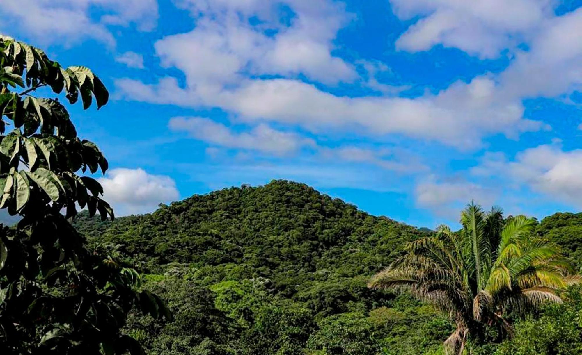 Hostal Mirador Dentro Del Parque Tayrona El Zaino Buitenkant foto