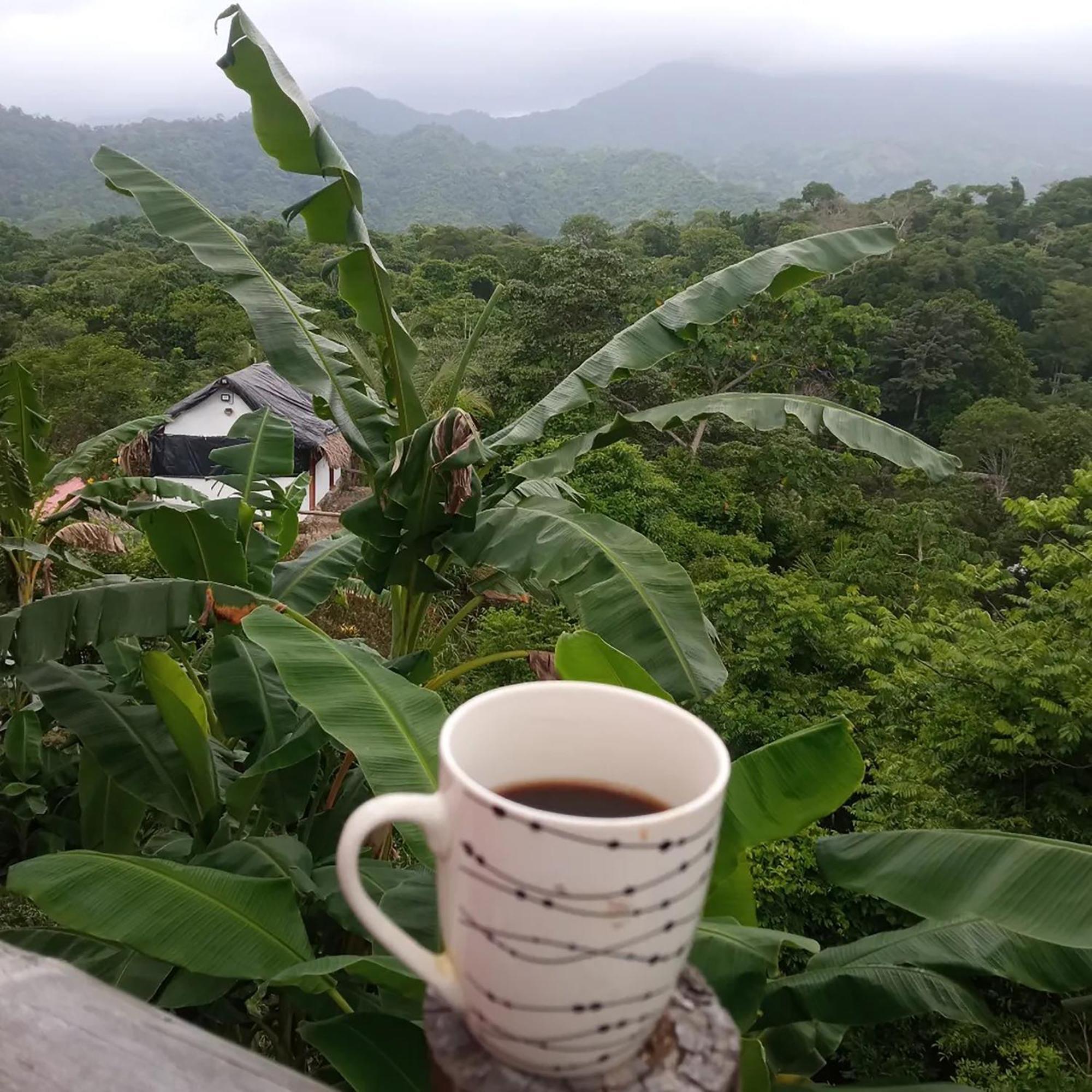 Hostal Mirador Dentro Del Parque Tayrona El Zaino Buitenkant foto
