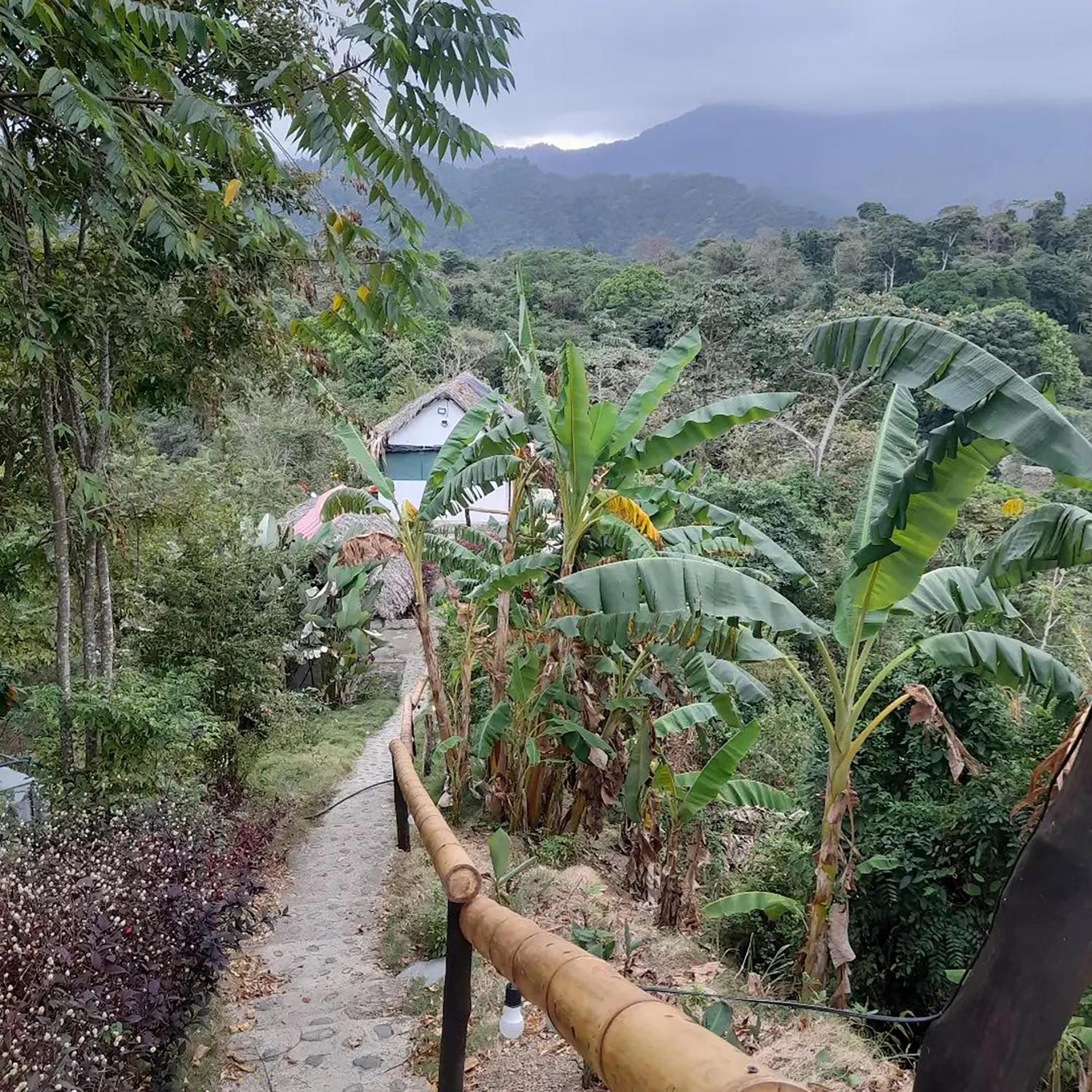 Hostal Mirador Dentro Del Parque Tayrona El Zaino Buitenkant foto