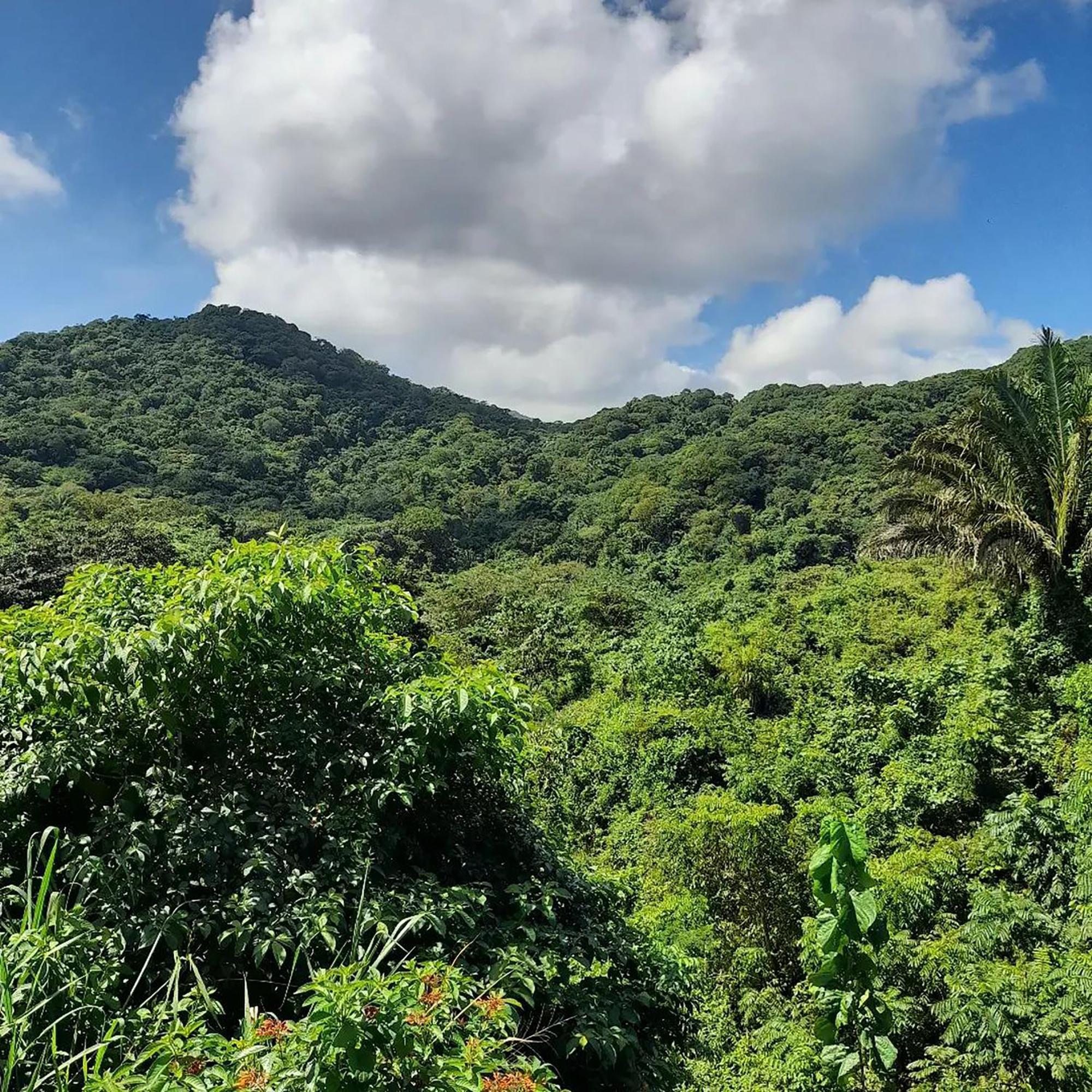 Hostal Mirador Dentro Del Parque Tayrona El Zaino Buitenkant foto