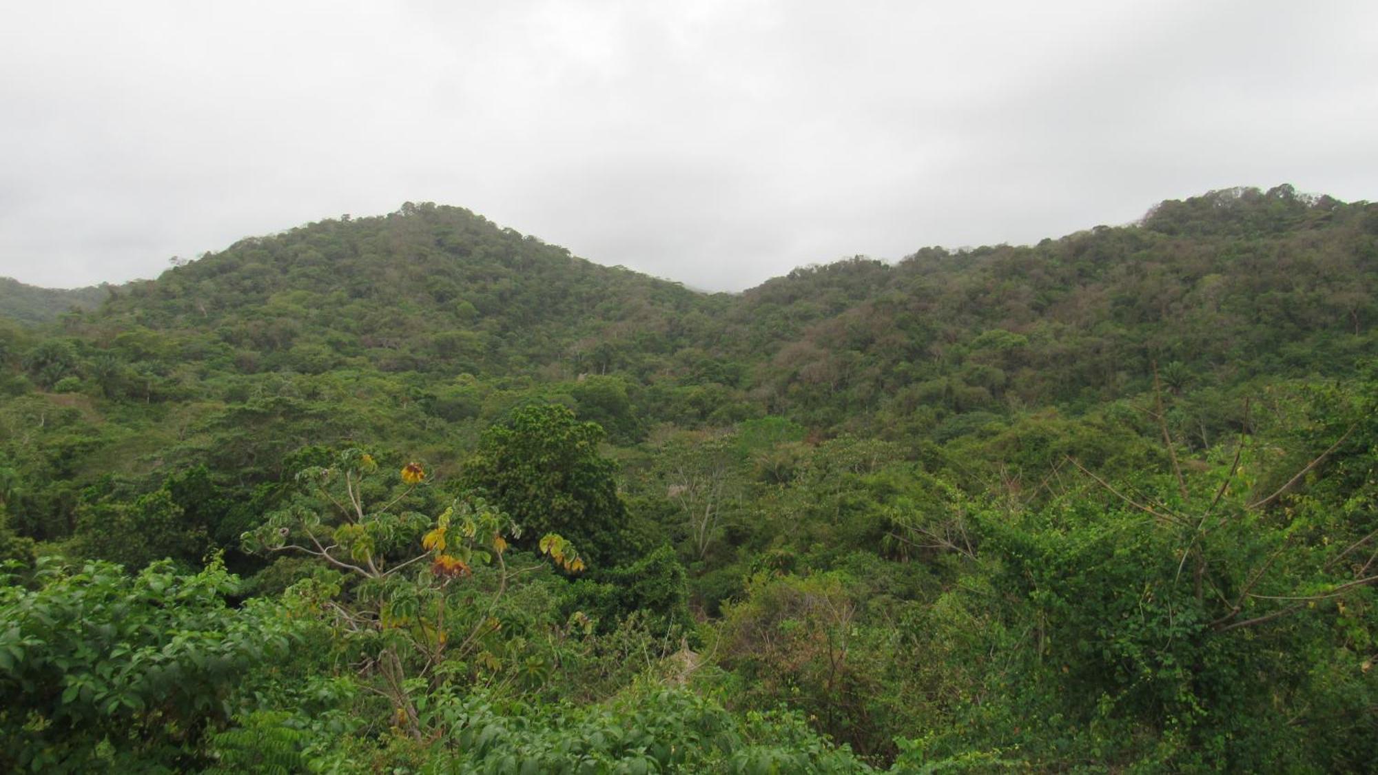 Hostal Mirador Dentro Del Parque Tayrona El Zaino Buitenkant foto