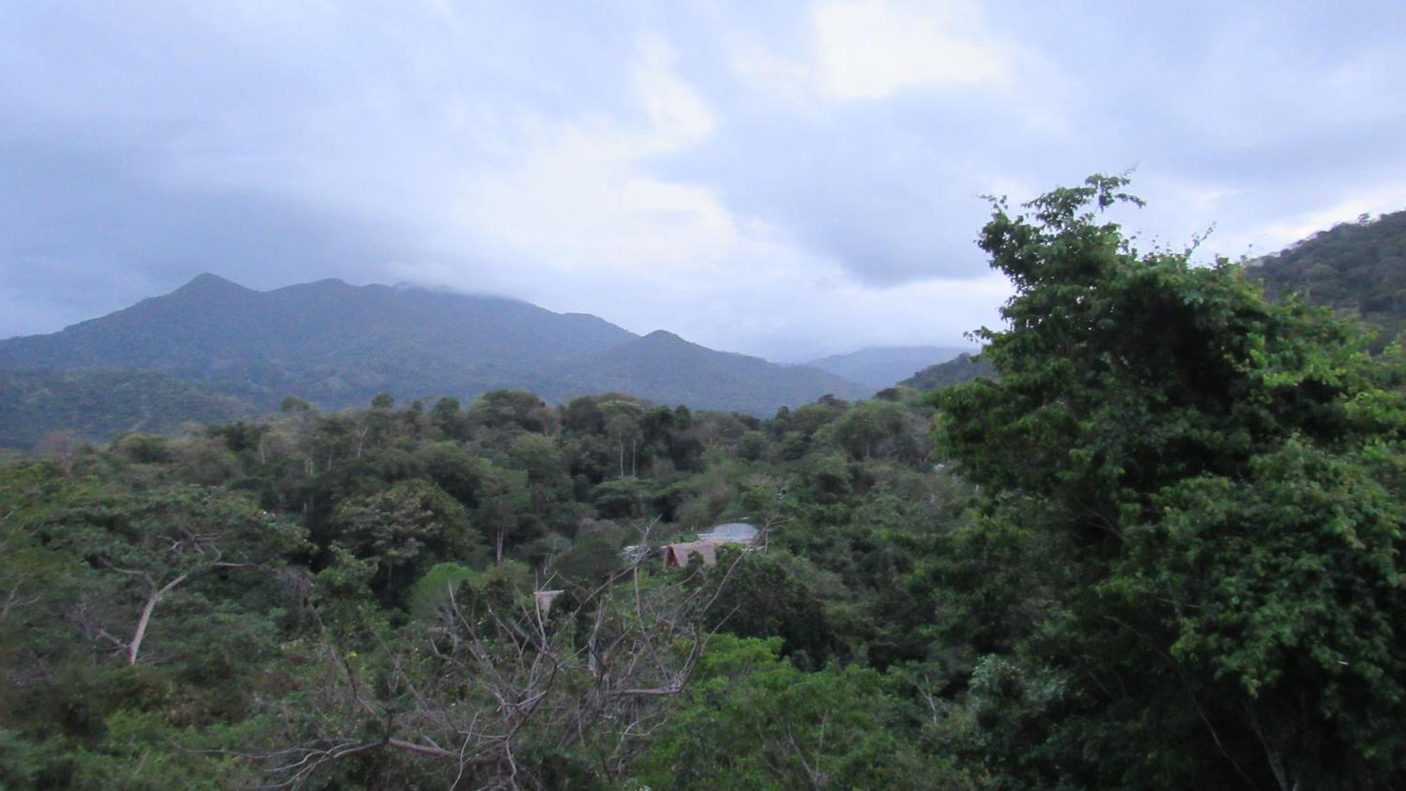 Hostal Mirador Dentro Del Parque Tayrona El Zaino Buitenkant foto